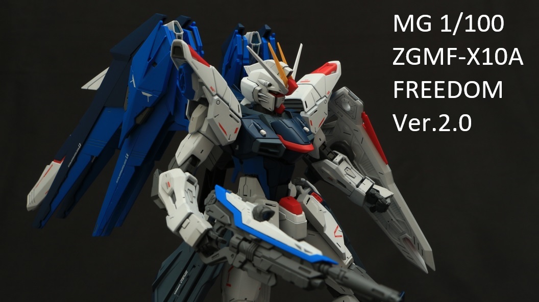 ガンプラ☆塗装完成品】 MG 1/100 MSM-07S ZGOK ズゴック 改 重火器