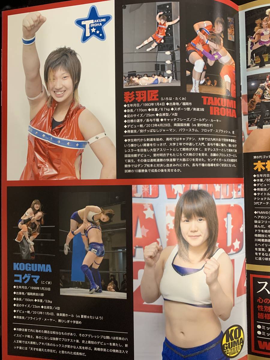 スターダムパンフレットVol.45【女子プロレス】 ☆岩谷麻優 ☆紫雷イオ
