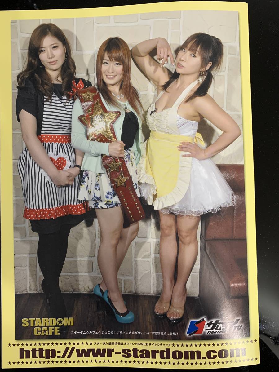 スターダムパンフレットVol.45【女子プロレス】 ☆岩谷麻優 ☆紫雷イオ