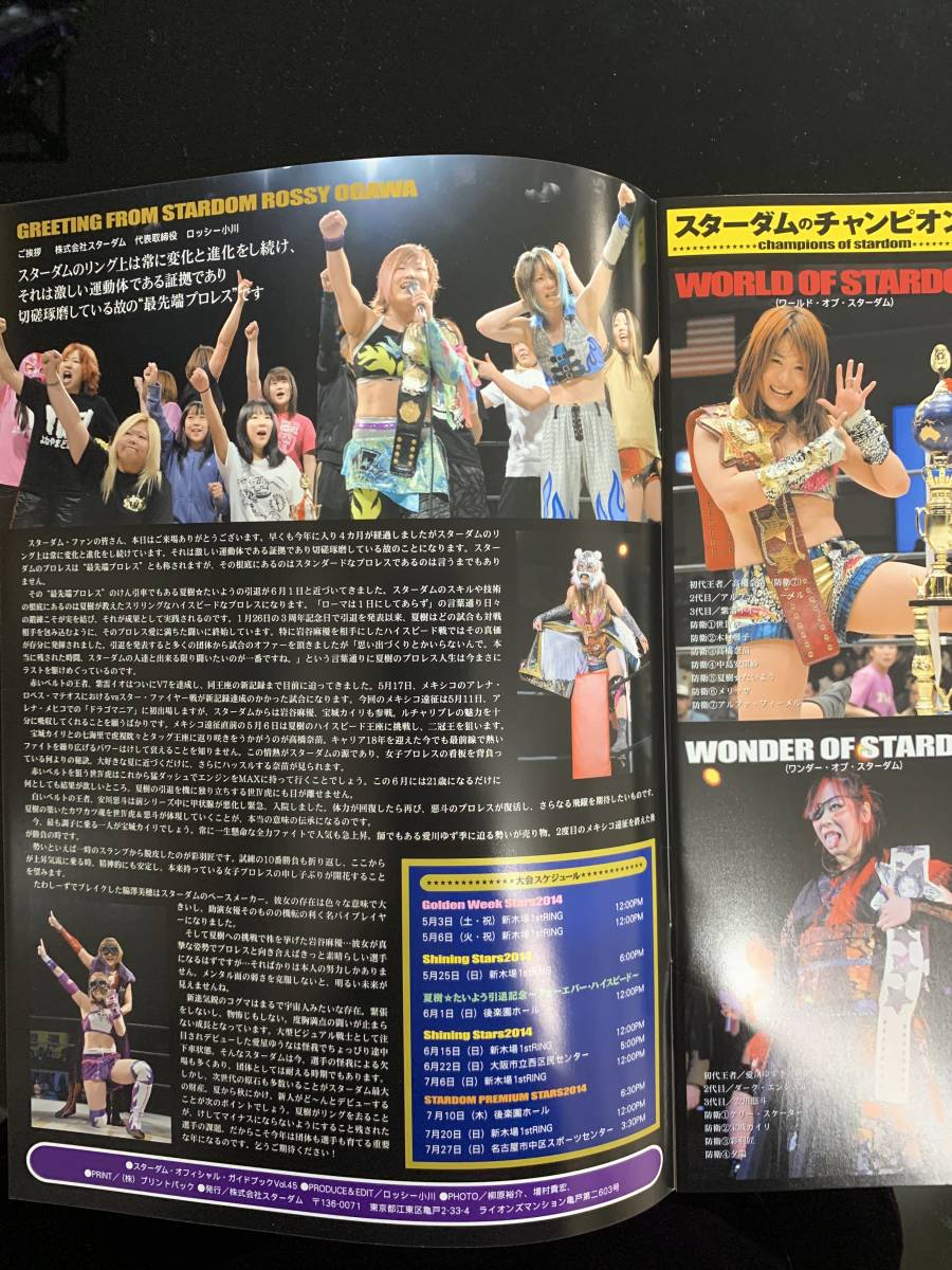 スターダムパンフレットVol.45【女子プロレス】 ☆岩谷麻優 ☆紫雷イオ