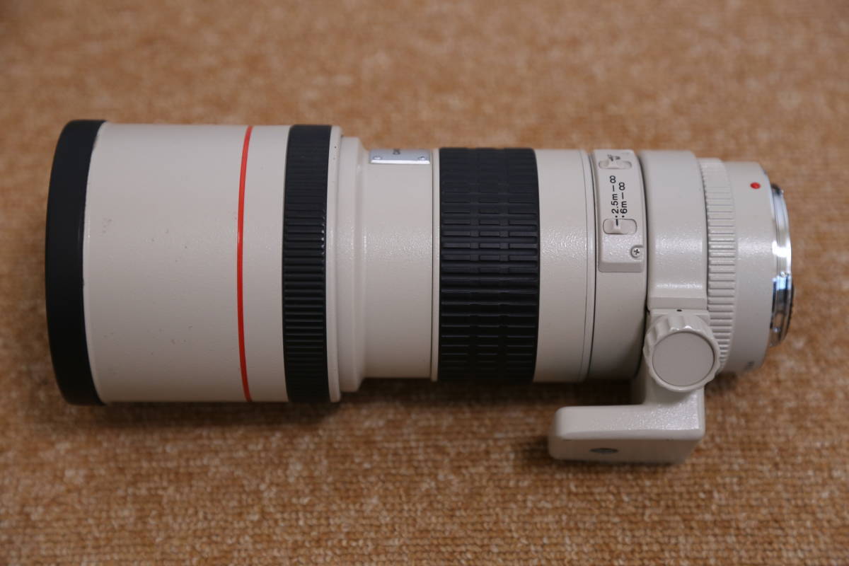 F4L USM IS Canon EF 300mm EF300mm 単焦点望遠レンズ キヤノン 望遠