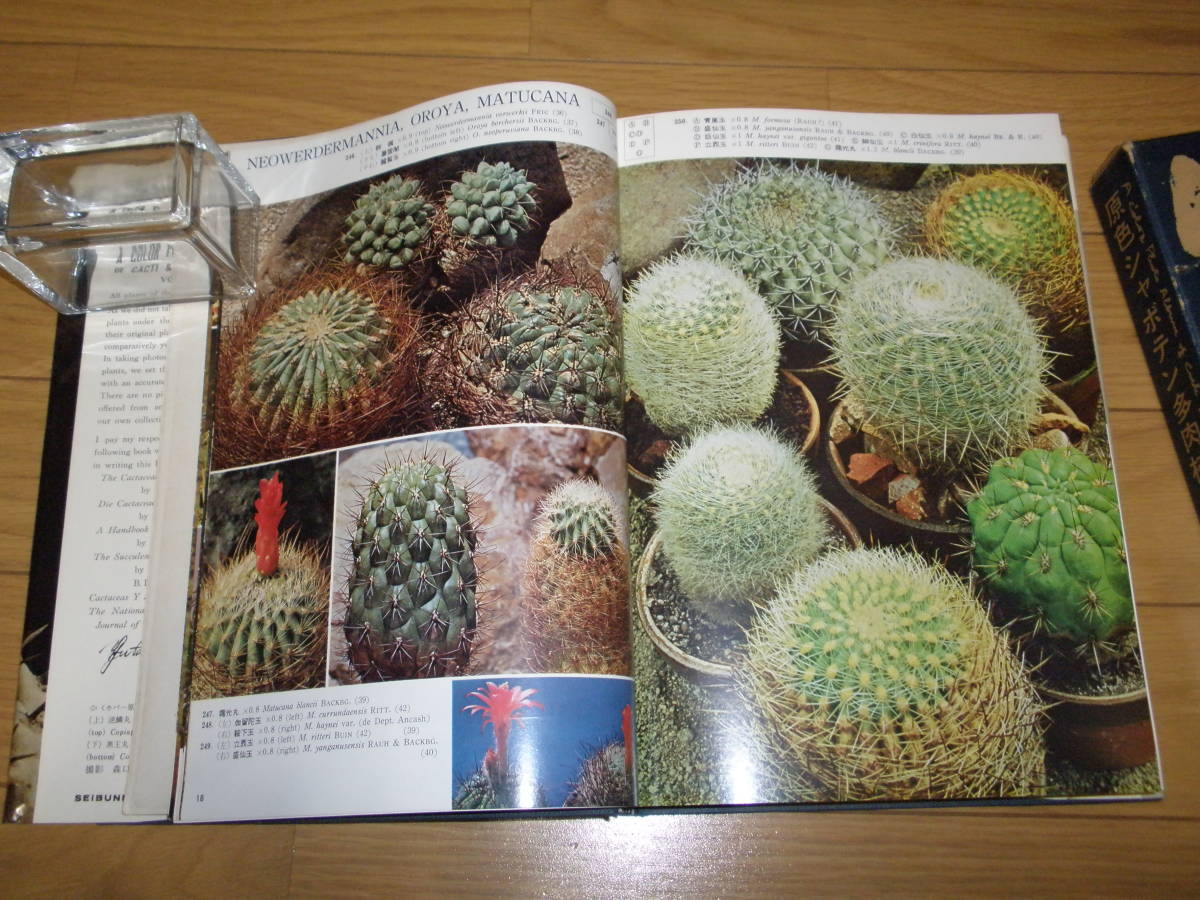 稀少です！『 原色シャボテン多肉植物大図鑑 2 』 龍膽寺 雄 □ 1968 誠文