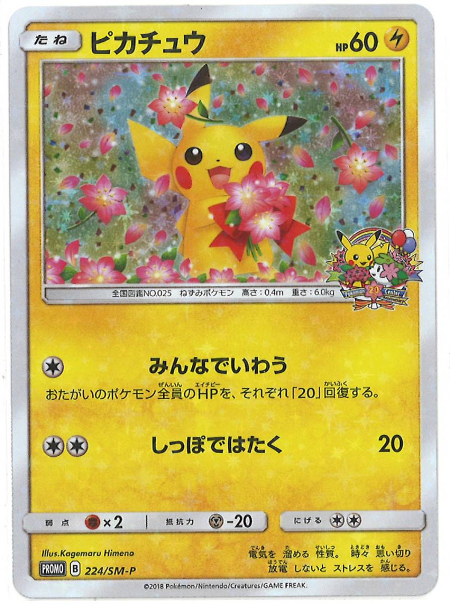 ポケモンカード ピカチュウ みんなで祝おう プロモ みんなでぼうけん
