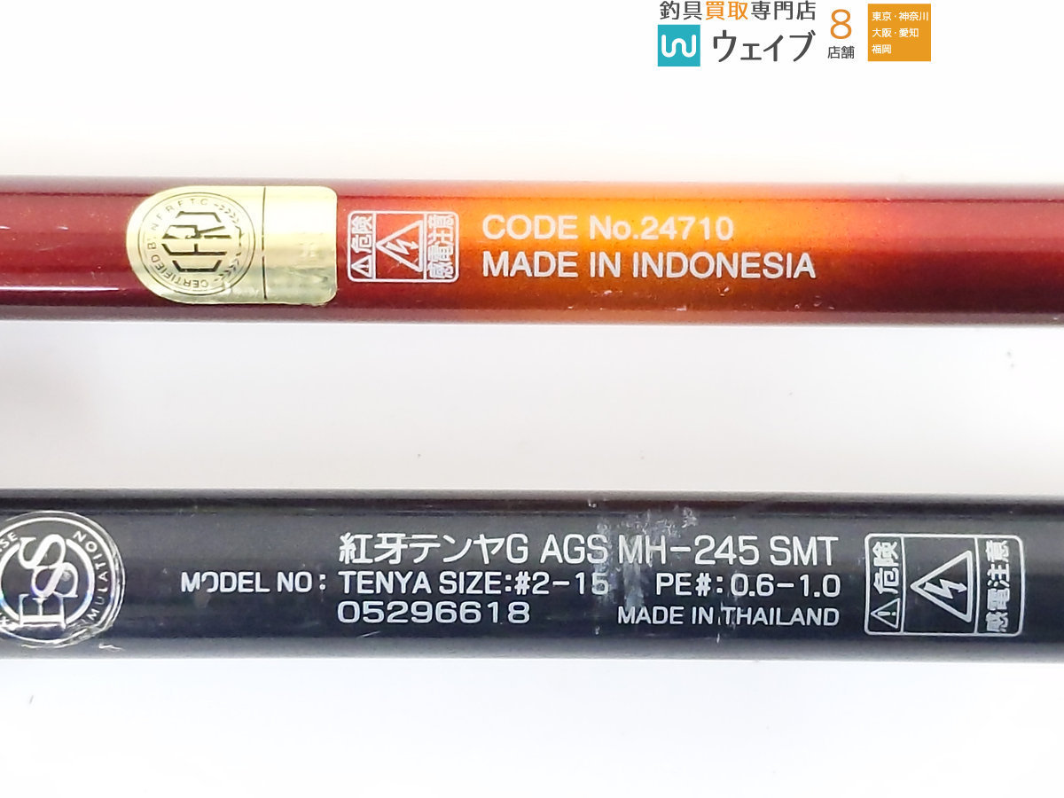 ダイワ 紅牙 テンヤゲーム AGS MH 245SMT・シマノ 炎月 一つ