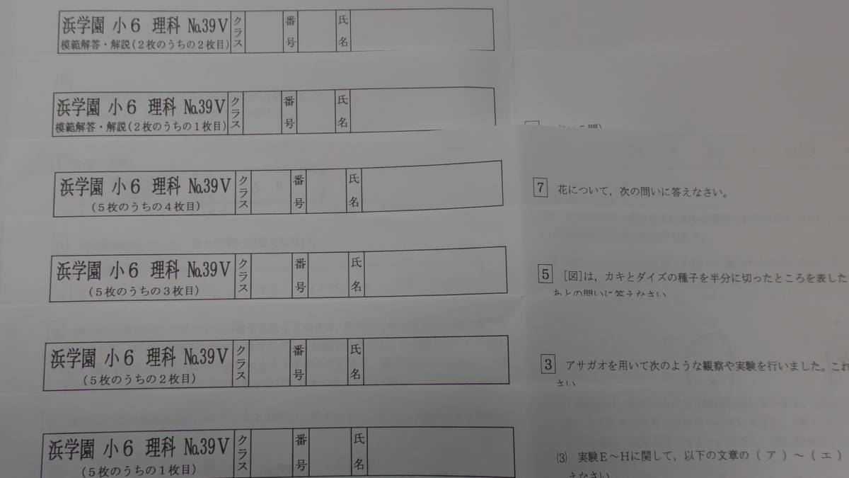 浜学園　小6 復習テスト　Vクラス　算数　国語　理科　1年分　2023年度t 浜学園 小6 理科 公開学力テスト 復習テスト 小6 Vクラス 社会 国語