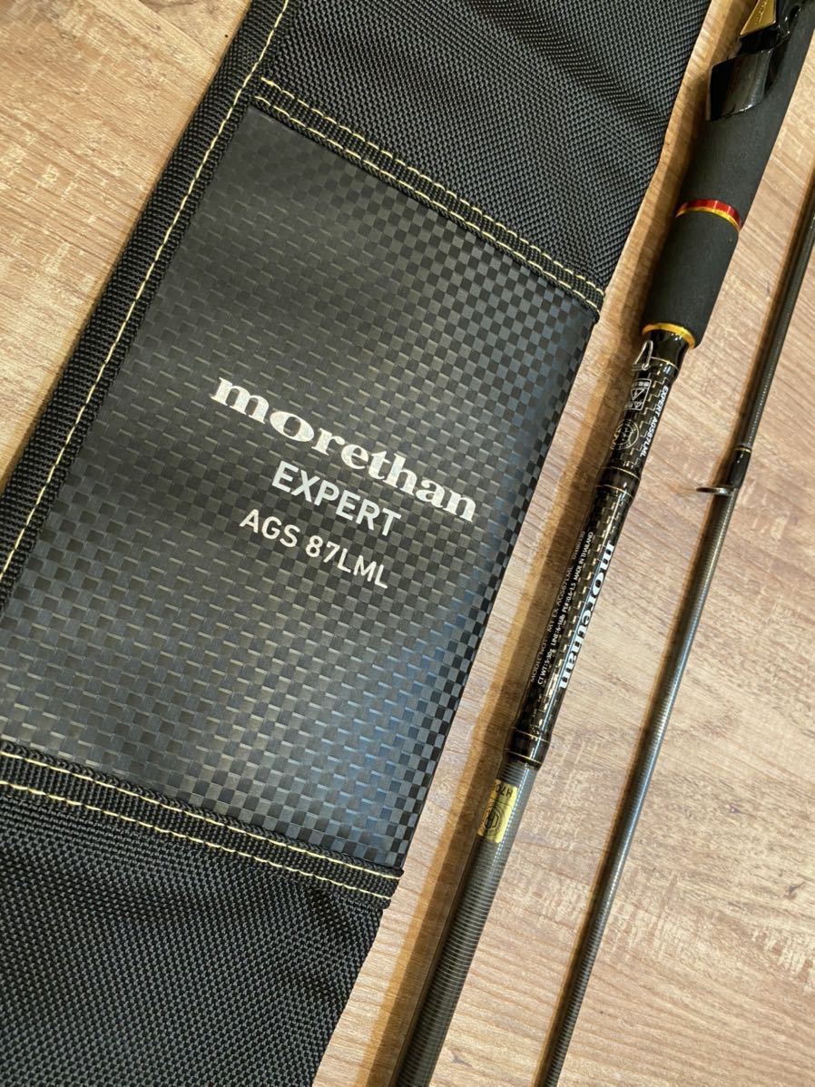 ダイワ モアザン エキスパート morethan EXPERT AGS 106M F70