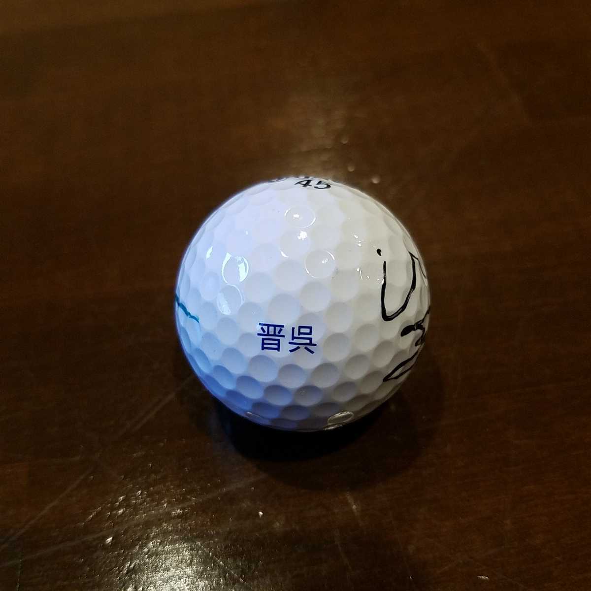 直筆サイン入り ゴルフボール プロ ゴルファー片山晋呉オウンボール 