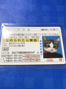 なめ猫 カードのヤフオク の相場 価格を見る ヤフオク のなめ猫 カードのオークション売買情報は34件が掲載されています