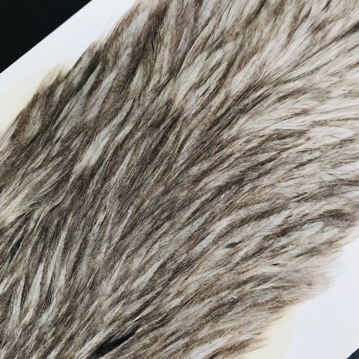 ティムコ METZ Hen Neck メッツ ヘンネック ブラック #1 コックネック