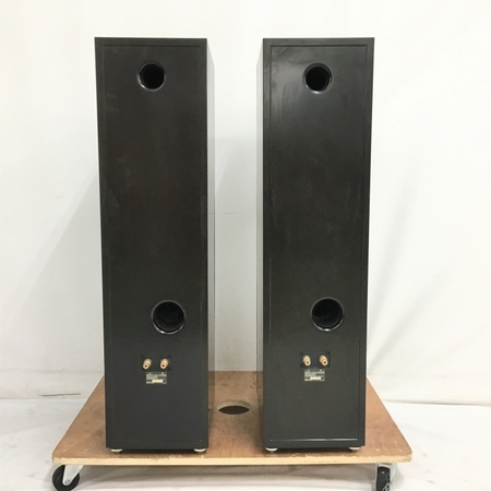 引取限定】 SONY SS‐NA2ES スピーカーペア 音響機器 オーディオ ソニー