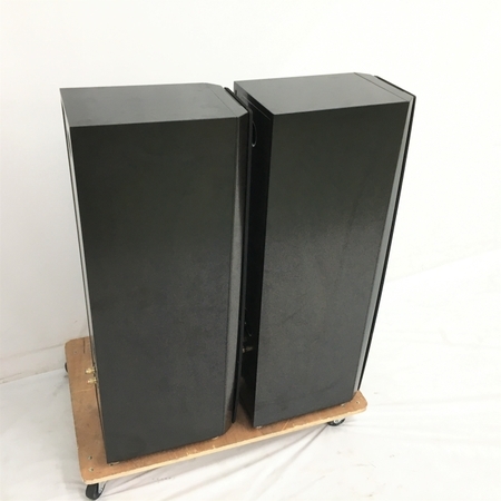 引取限定】 SONY SS‐NA2ES スピーカーペア 音響機器 オーディオ ソニー