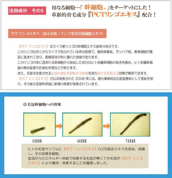 CroixスカルプエッセンスEXプラス フィナステリド ミノキシジル