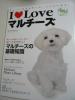 マルチーズ特集☆アイ・ラブ・マルチーズ_1