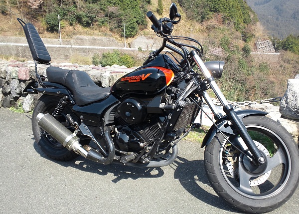 エリミネーター250v ダミーエアクリーナーカバー カワサキ用 売買されたオークション情報 Yahooの商品情報をアーカイブ公開 オークファン Aucfan Com