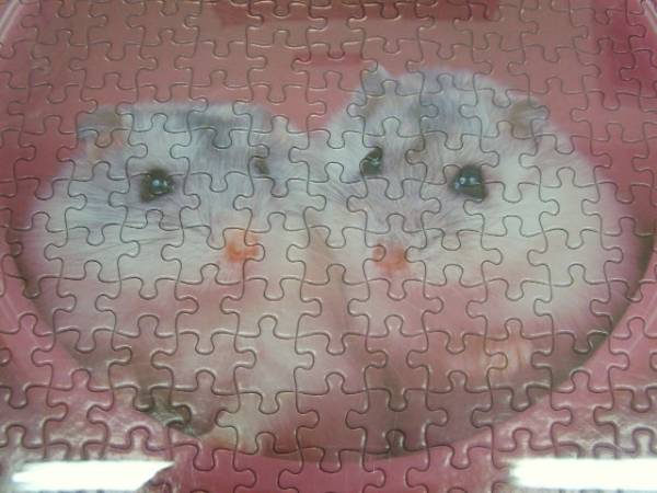 ★ジグソーパズル額付　ハムスター　USED_2