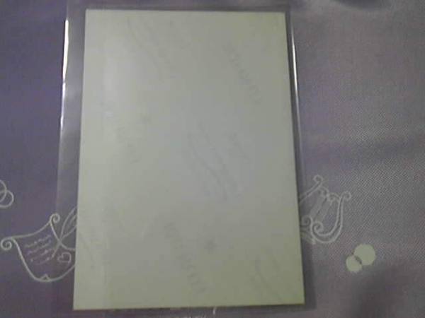 スペシャルフォト２００９ディズニーランドNewYear_2