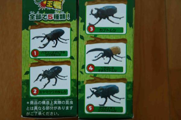 ☆新品☆カブトムシ☆クワガタ☆ゼンマイ式☆5種セット(ぜんまい