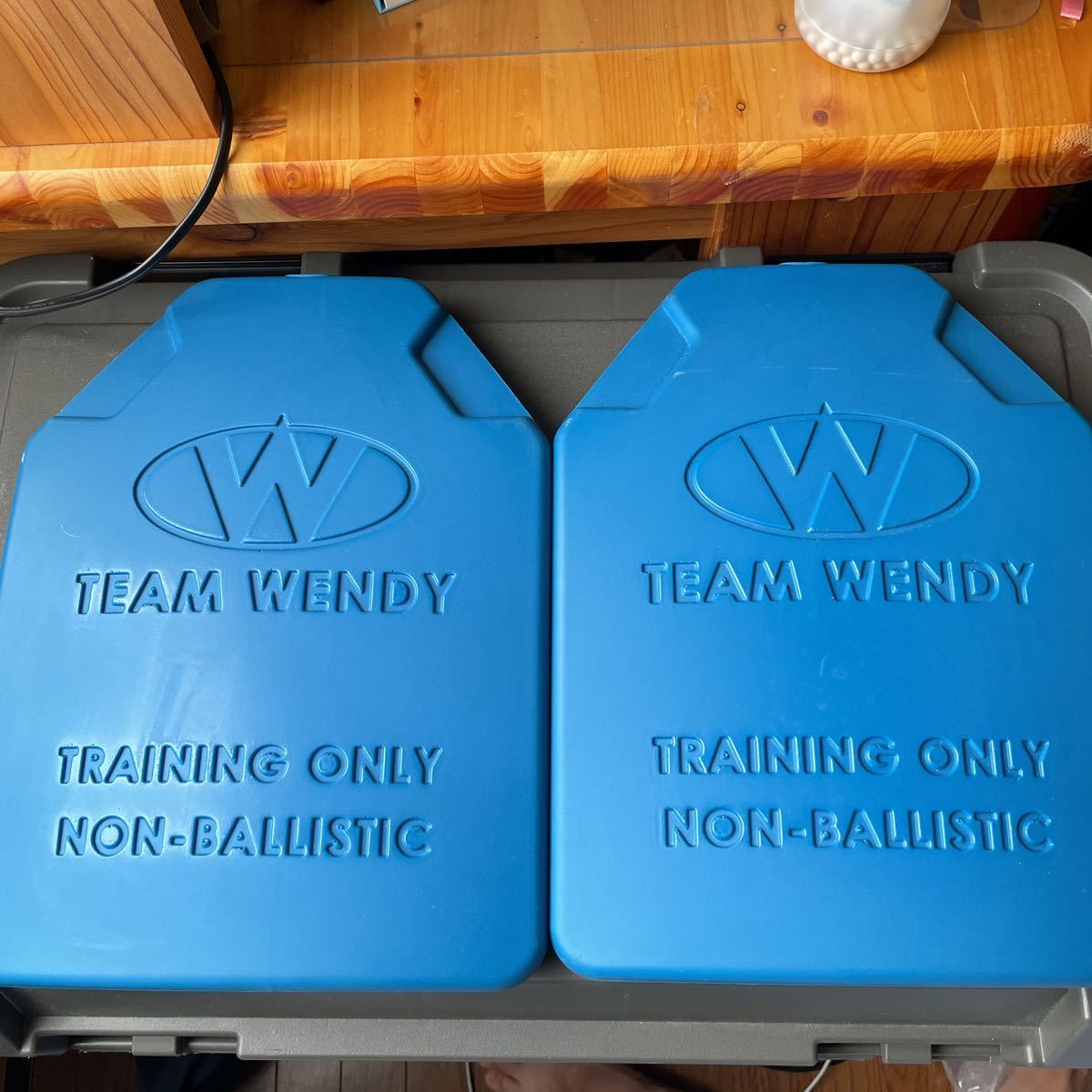 teamWendy トレーニングプレート ダミープレート 2枚セット サバゲー