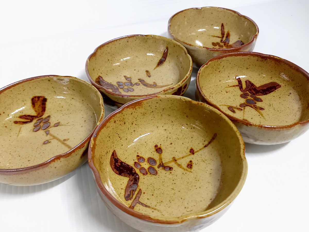 唐津焼 鉢 共箱入り 未使用 西岡良弘 絵唐津 鉢 器 唐津焼 元箱あり