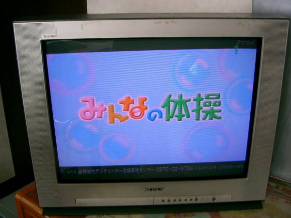 SONY 高性能フラット画面 BS内臓 25インチ KV-25DS1 (KV25DS1