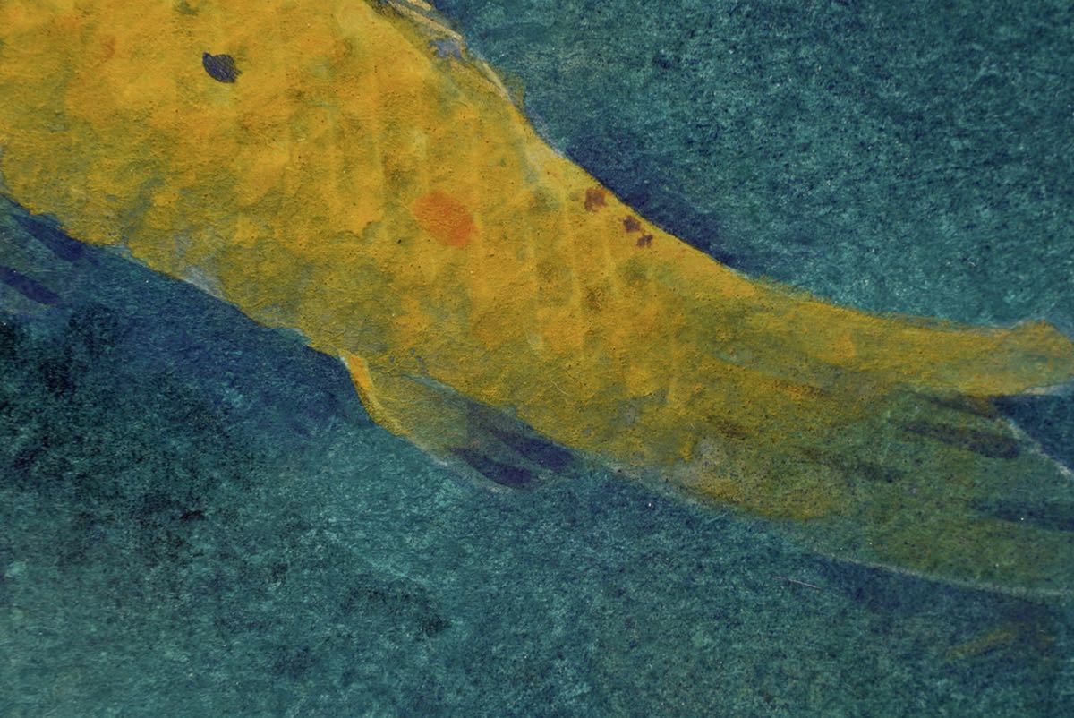 絵画　利倉群青作　鯉 利倉群青【鯉】日本画 画寸(24cmx27cm) サイン・落款あり 真作保証◎師