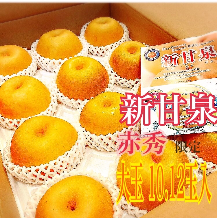 新甘泉梨 10kg 【公式通販】