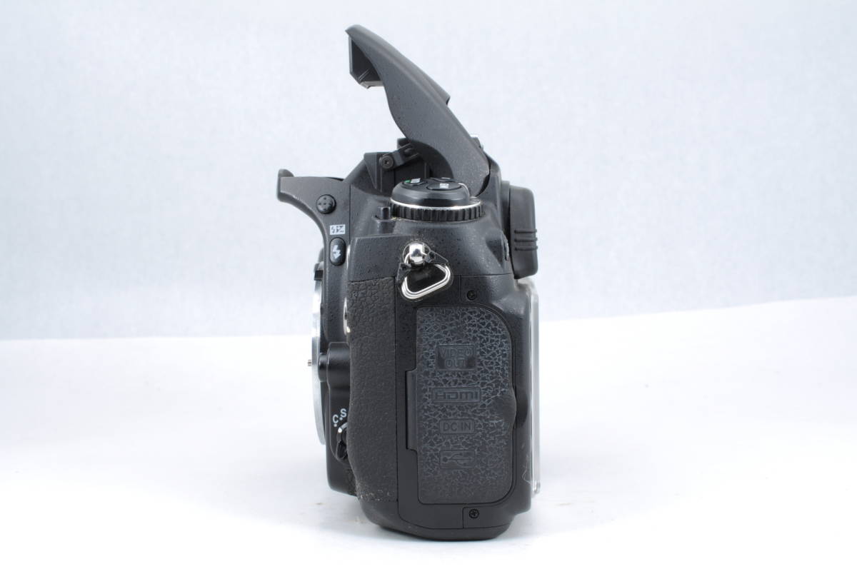 動作品 ニコン Nikon D300 ボディ デジタル一眼レフカメラ SanDisk 