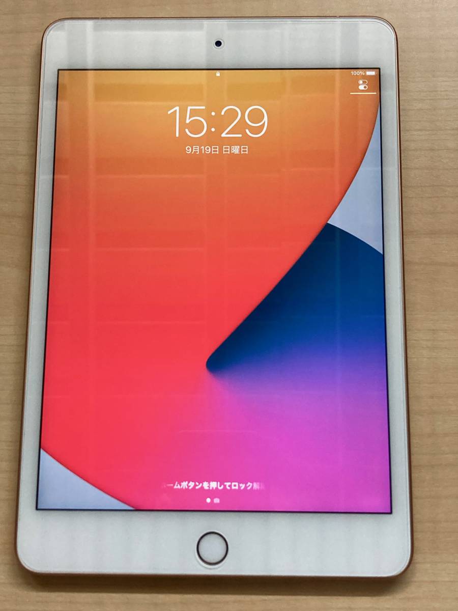 中古美品】iPad mini 第5世代 Wi-Fi+Cellular 64GB MUX72J/A SIM