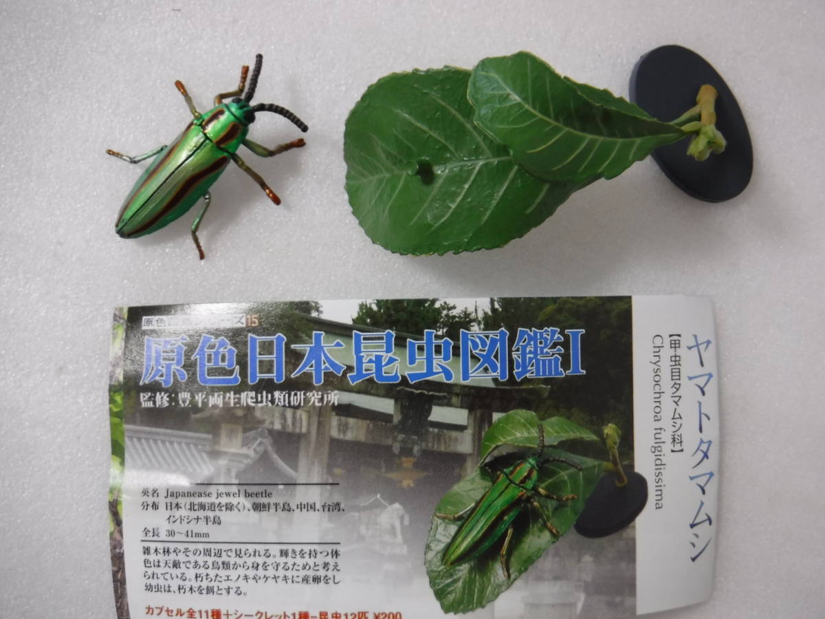 ヤマトタマムシ：Yujin「原色日本昆虫図鑑Ⅰ」より_1