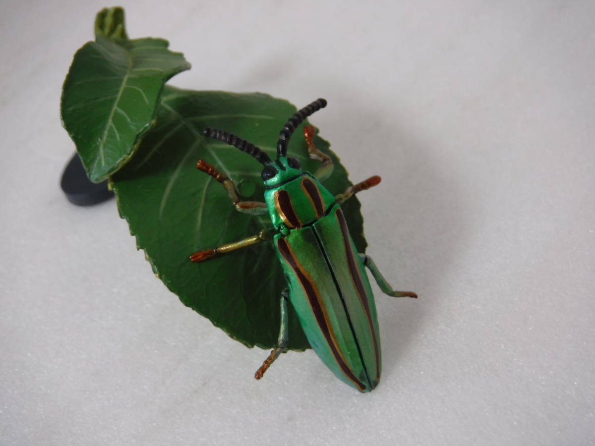 ヤマトタマムシ：Yujin「原色日本昆虫図鑑Ⅰ」より_2