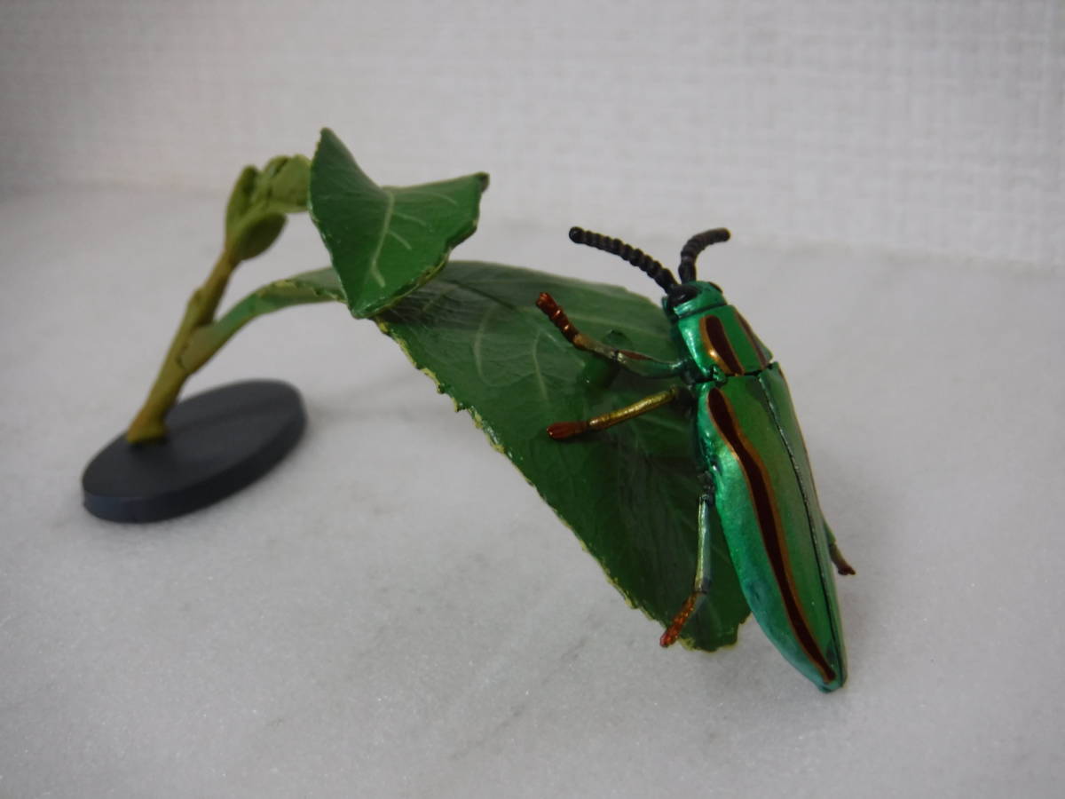 ヤマトタマムシ：Yujin「原色日本昆虫図鑑Ⅰ」より_3