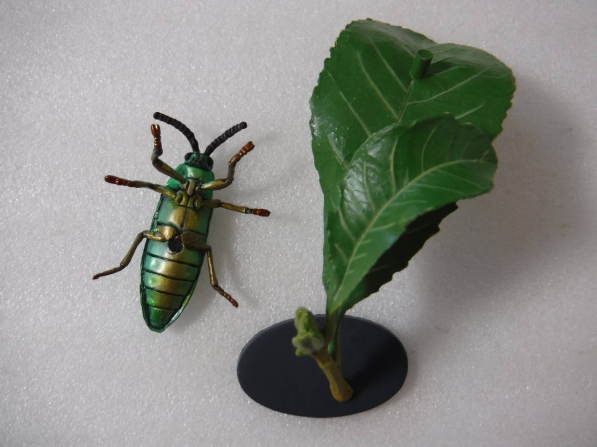 ヤマトタマムシ：Yujin「原色日本昆虫図鑑Ⅰ」より_4