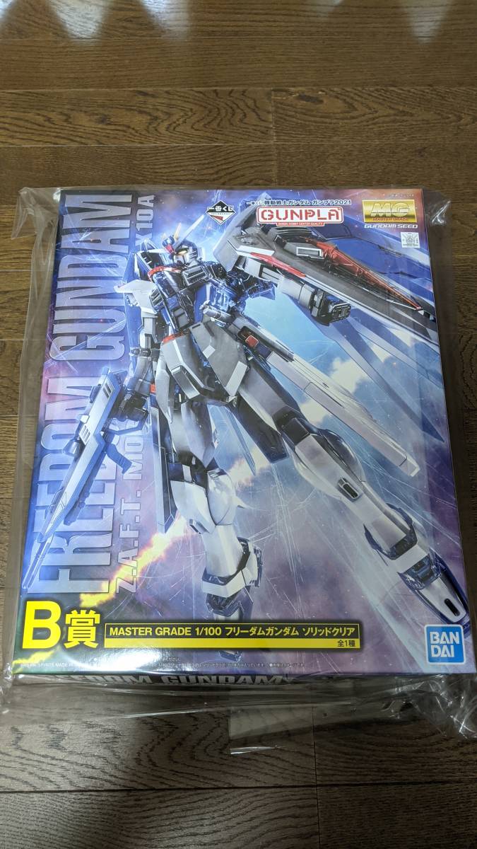 一番くじ 機動戦士ガンダム ガンプラ2021 B賞 MASTER GRADE マスター 