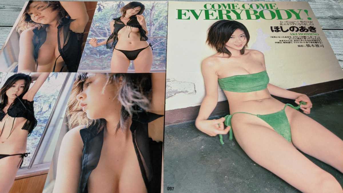 ほしのあき 切り抜き 7ページ グラビア 水着 巨乳 タレント 売買されたオークション情報 Yahooの商品情報をアーカイブ公開 オークファン Aucfan Com