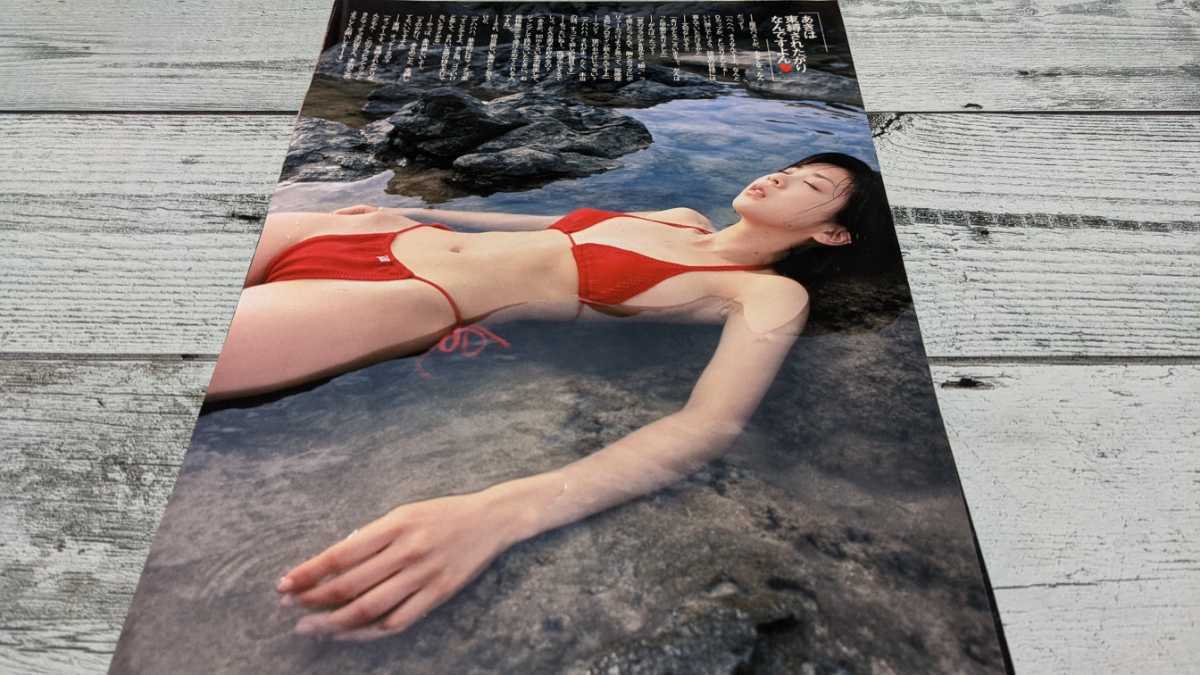 ほしのあき 切り抜き 7ページグラビア 水着 巨乳(タレント)｜売買され 