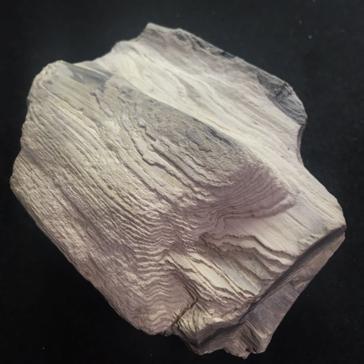 珪化木 木化石 鉱物 標本 置物 観賞石 水石 木化石の販売ページです。