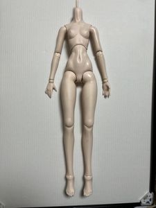 工場直送 Dddy カスタムボディ ディーラー製フレーム 胸パーツ 偉大な Lppm Unwir Ac Id