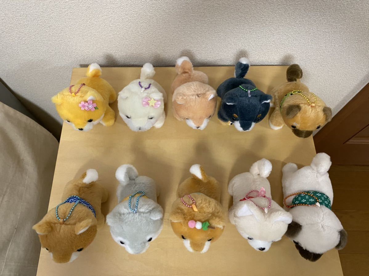 豆しば三兄弟 10体 ぬいぐるみ Ufoキャッチャー 犬 キーホルダー ボールチェーン イヌ一般 売買されたオークション情報 Yahooの商品情報をアーカイブ公開 オークファン Aucfan Com