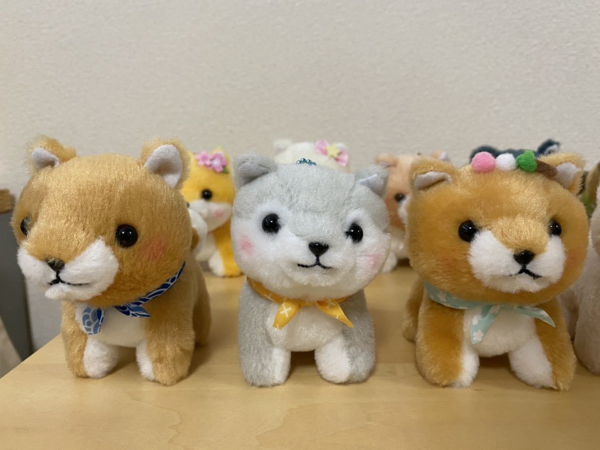 豆しば三兄弟 10体 ぬいぐるみ Ufoキャッチャー 犬 キーホルダー ボールチェーン イヌ一般 売買されたオークション情報 Yahooの商品情報をアーカイブ公開 オークファン Aucfan Com