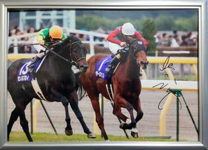 騎手 サインのYahoo!オークション(旧ヤフオク!)の相場・価格を見る