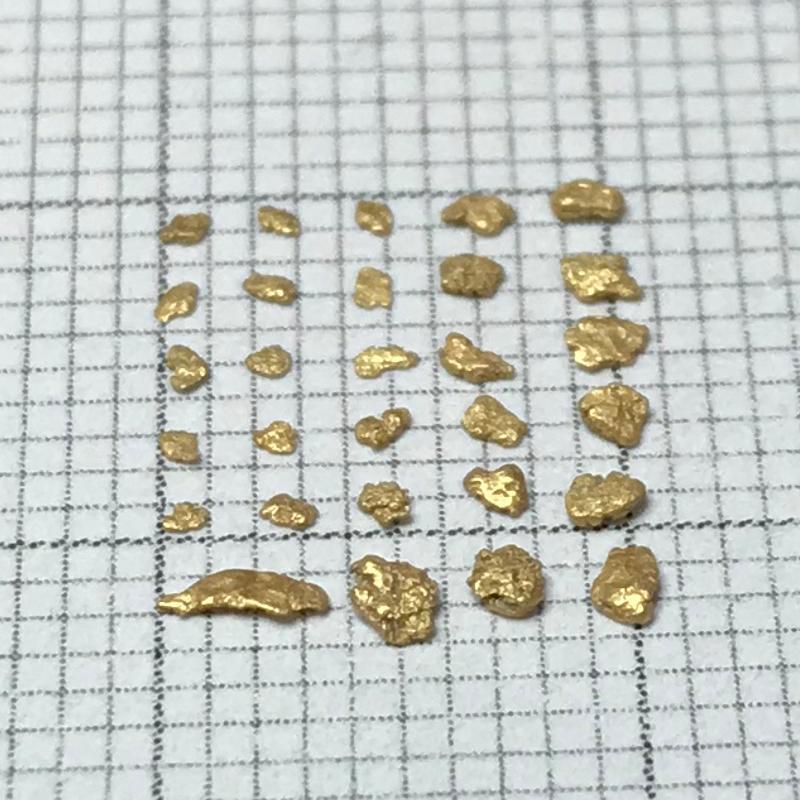 ☆砂金☆北海道新十津川町産☆ 29粒 0.11g