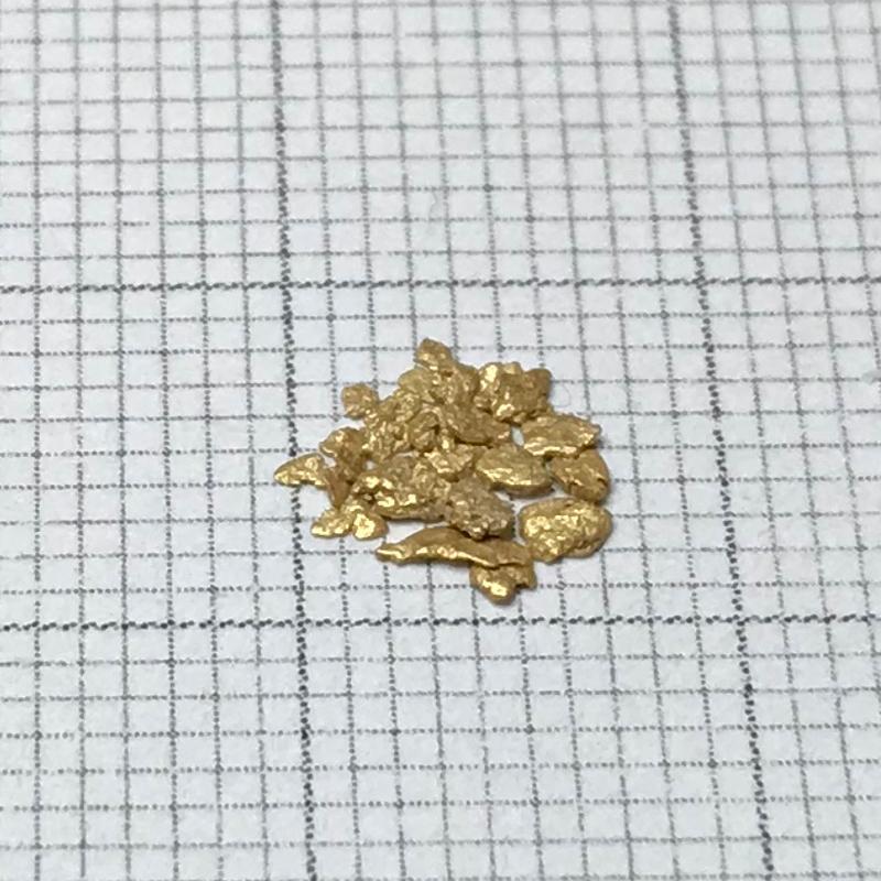 ☆砂金☆北海道新十津川町産☆ 29粒 0.11g