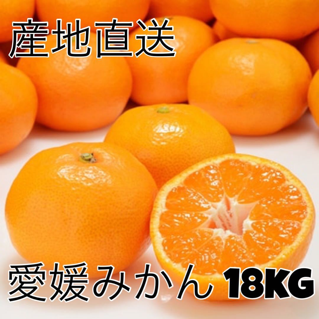 安い，セール 産地直送 愛媛みかん18kg 2L-3Lサイズ 大玉 温州みかん(かんきつ類)｜売買されたオークション情報、yahooの商品情報をアーカイブ公開 - オークファン かんきつ類