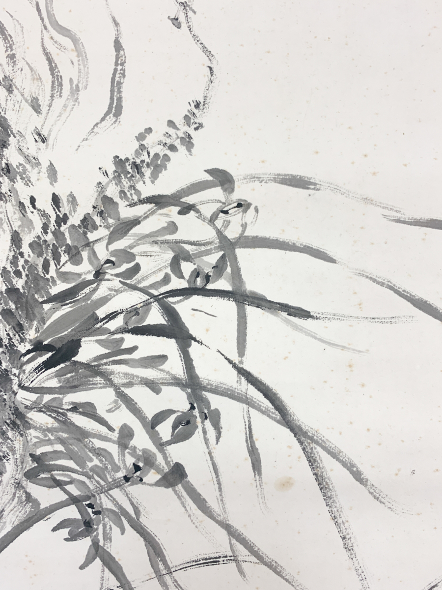 【洛座】【真作】幕末・明治の南画家　帆足杏雨　 青石鑑定箱 ＜田能村竹田掛軸中国水墨画◆tm1909478_7