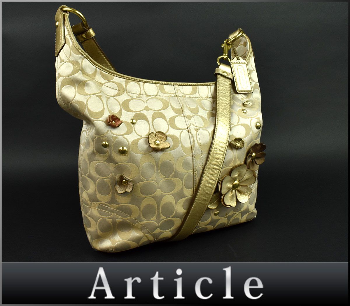 新品】 COACH ショルダーバッグ シグネチャー アップリケ｜バッグ