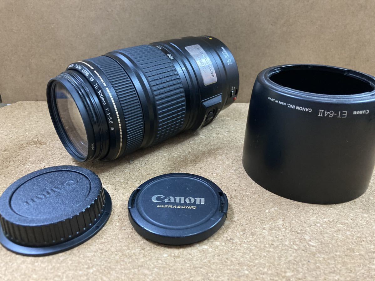 ◇大迫力300mm超望遠!!◇Canon純正 75-300mm 超望遠レンズ◇ Canon