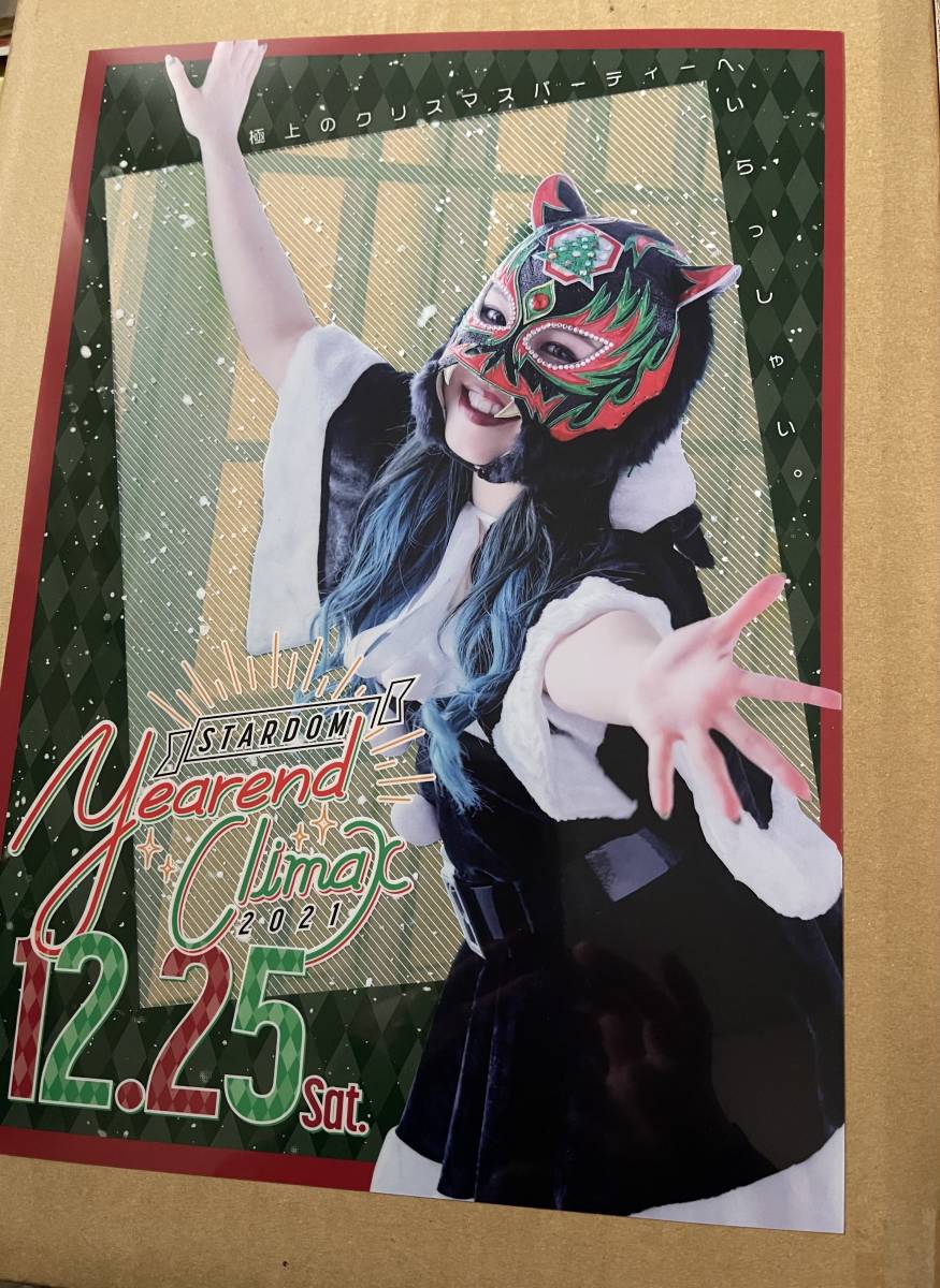 女子プロレス　スターダム　スターライト・キッド　クリスマス限定クリアポスター A4 STARDOM_1