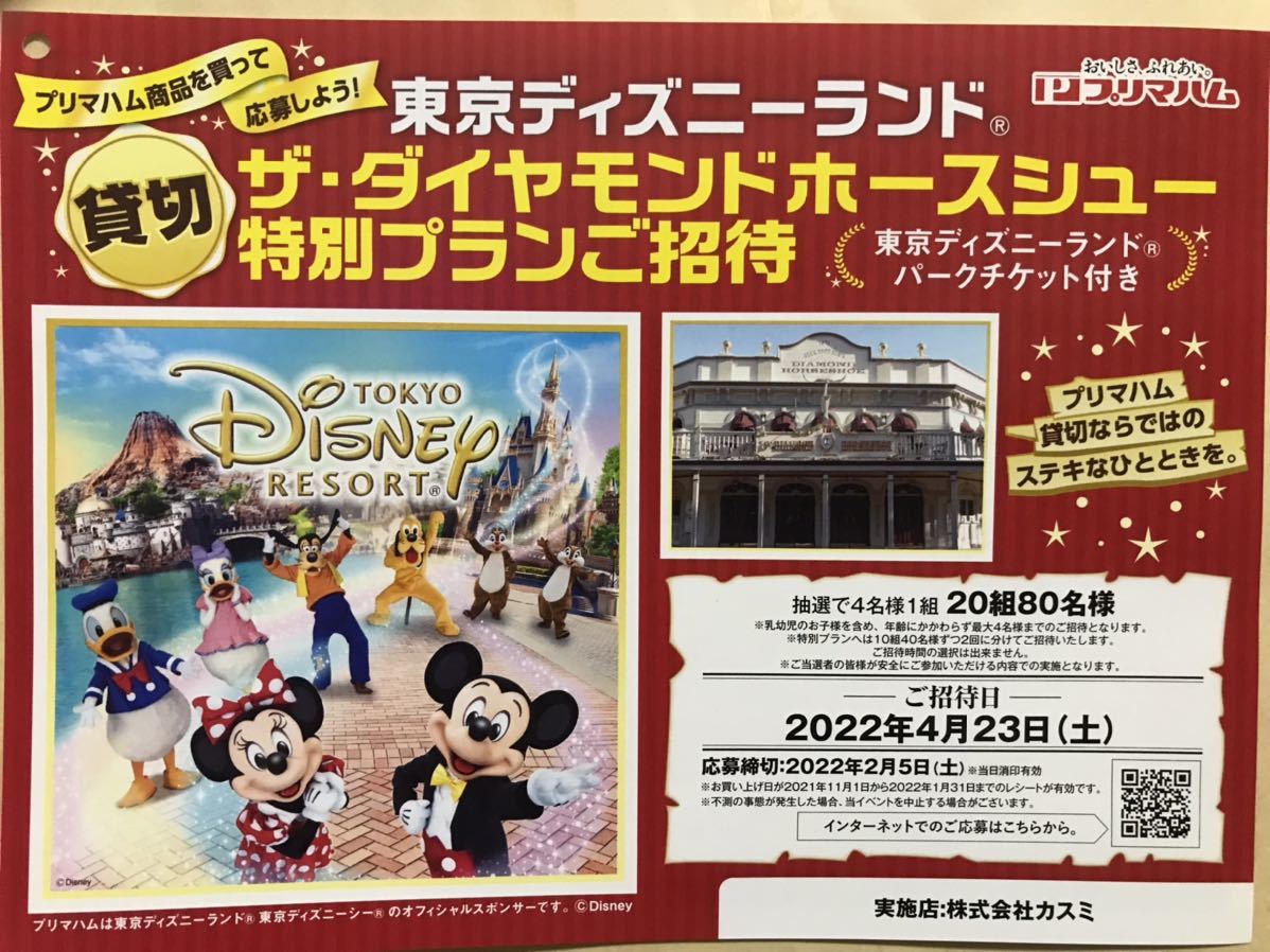 ディズニー 貸切 4名 Rroe Org