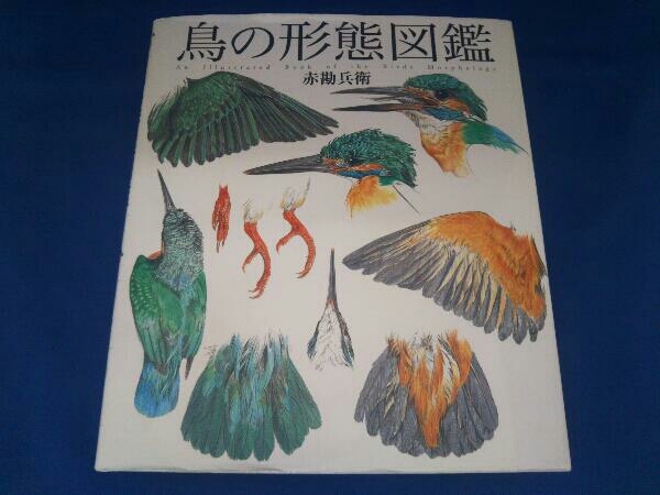 鳥の形態図鑑 赤勘兵衛(図鑑)｜売買されたオークション情報、Yahoo