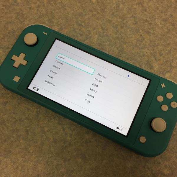 ☆収納ケース付き！ニンテンドースイッチライト Nintendo Switch Lite